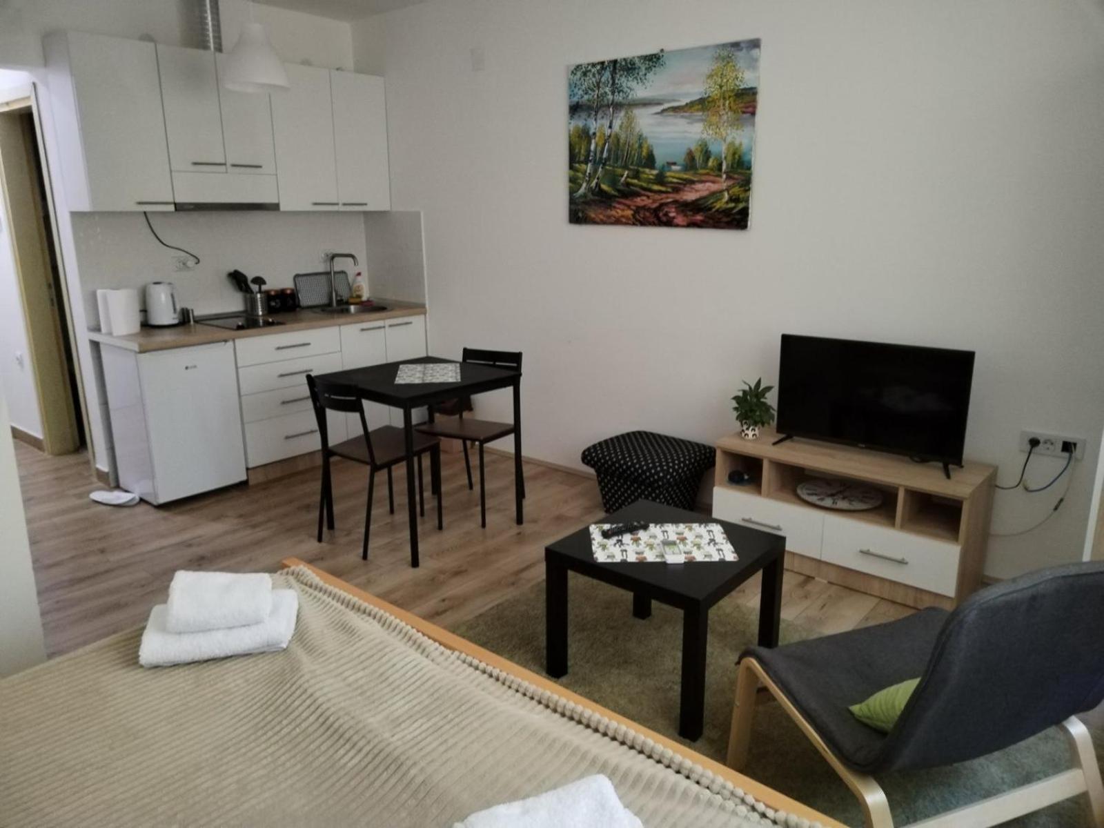 V & V Studio Apartments Ni Стая снимка